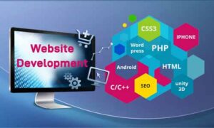 Website Development India