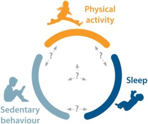 Limit Sedentary Behavior